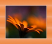 tegretol safety info image drugs images